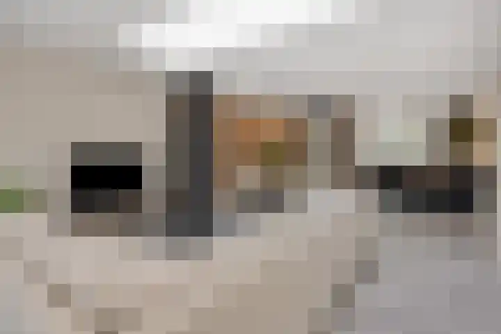 Druivenkas 12 Vught thumbnail 10