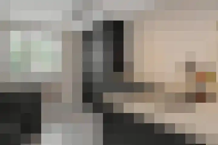 Druivenkas 12 Vught thumbnail 14