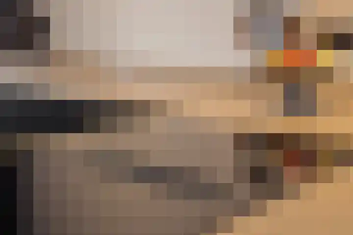 Druivenkas 12 Vught thumbnail 15
