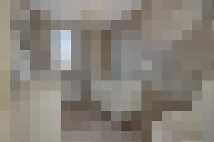 Druivenkas 12 Vught thumbnail 21