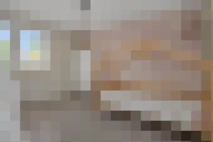 Druivenkas 12 Vught thumbnail 23