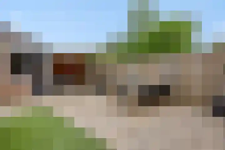 Druivenkas 12 Vught thumbnail 30