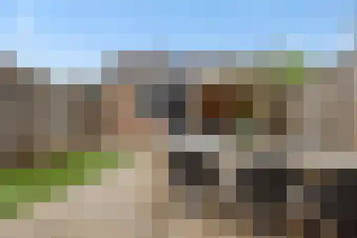 Druivenkas 12 Vught thumbnail 31