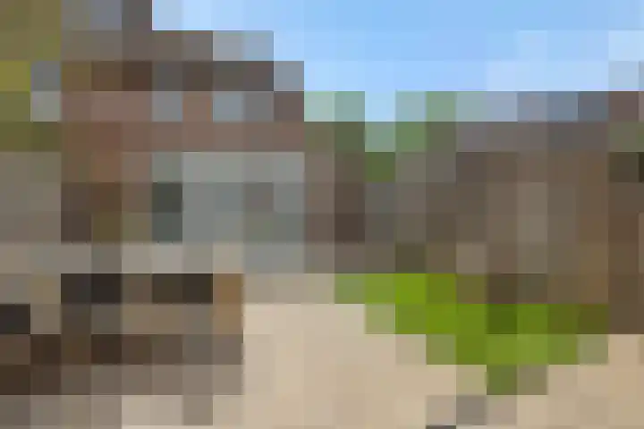 Druivenkas 12 Vught thumbnail 33