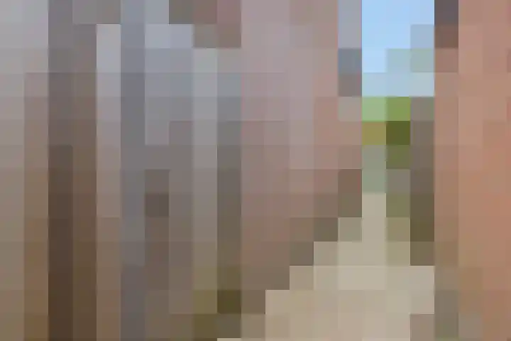 Druivenkas 12 Vught thumbnail 34
