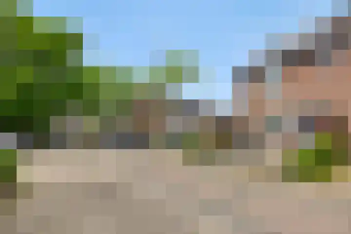 Druivenkas 12 Vught thumbnail 38