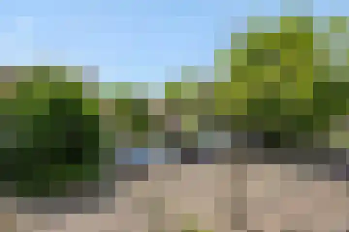 Druivenkas 12 Vught thumbnail 39