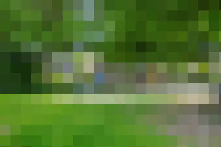 Druivenkas 12 Vught thumbnail 40