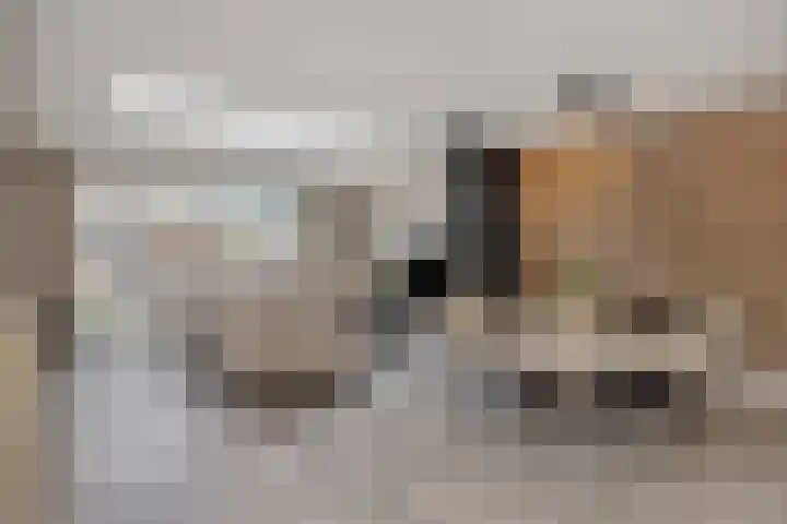 Druivenkas 12 Vught thumbnail 6