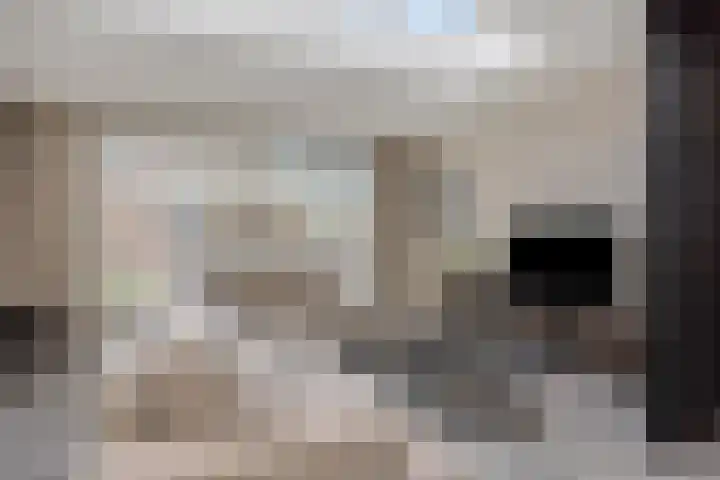 Druivenkas 12 Vught thumbnail 7