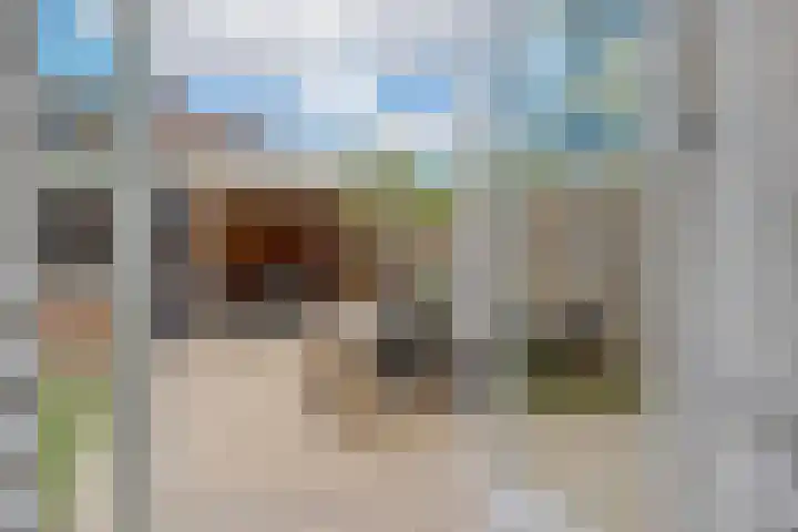 Druivenkas 12 Vught thumbnail 8