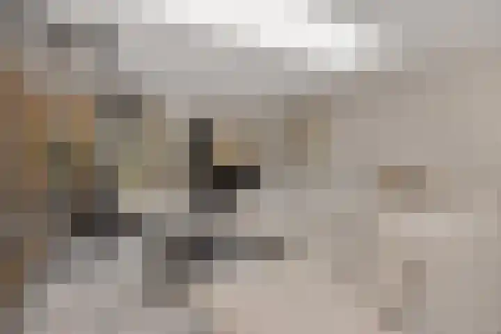 Druivenkas 12 Vught thumbnail 9