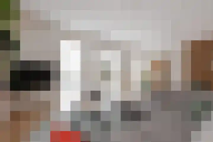 Druivenmuur 11 Delft thumbnail 16