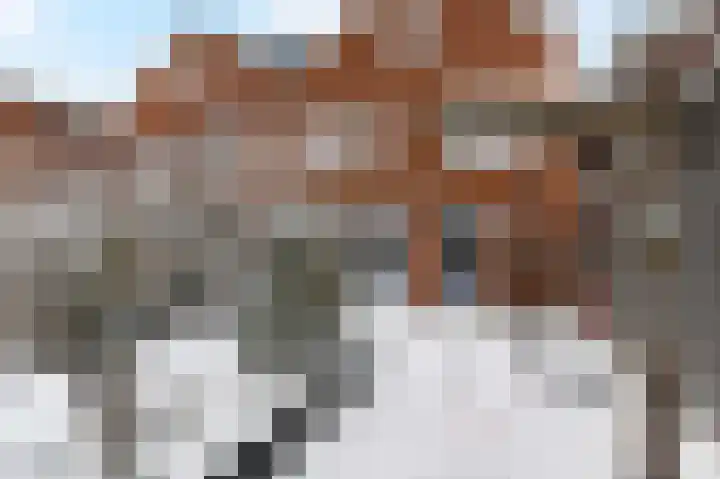 Druivenmuur 11 Delft thumbnail 26