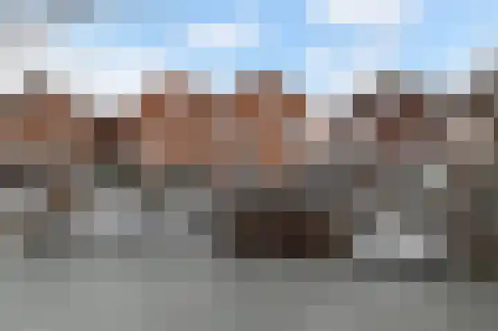 Druivenmuur 11 Delft thumbnail 5