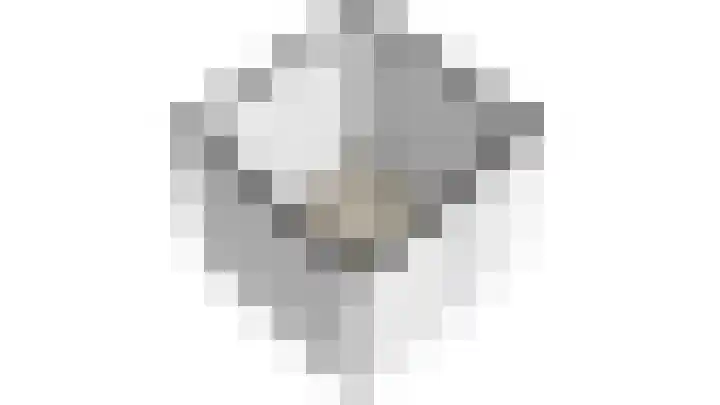 Druivenmuur 11 Delft thumbnail 65