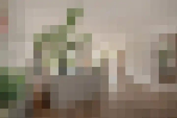 Druivenmuur 37 Delft thumbnail 11