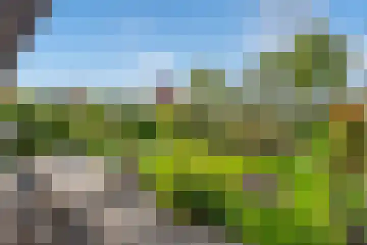 Druivenmuur 37 Delft thumbnail 21