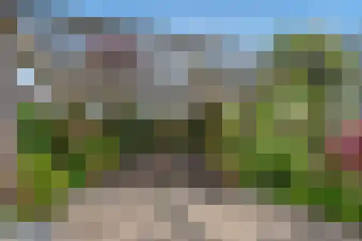 Druivenmuur 37 Delft thumbnail 23
