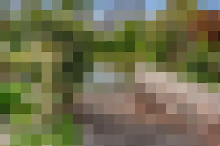 Druivenmuur 37 Delft thumbnail 4