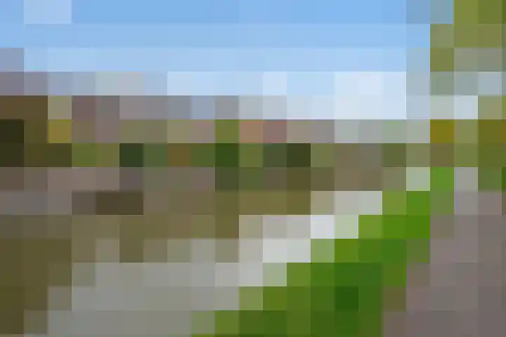 Druivenmuur 37 Delft thumbnail 48
