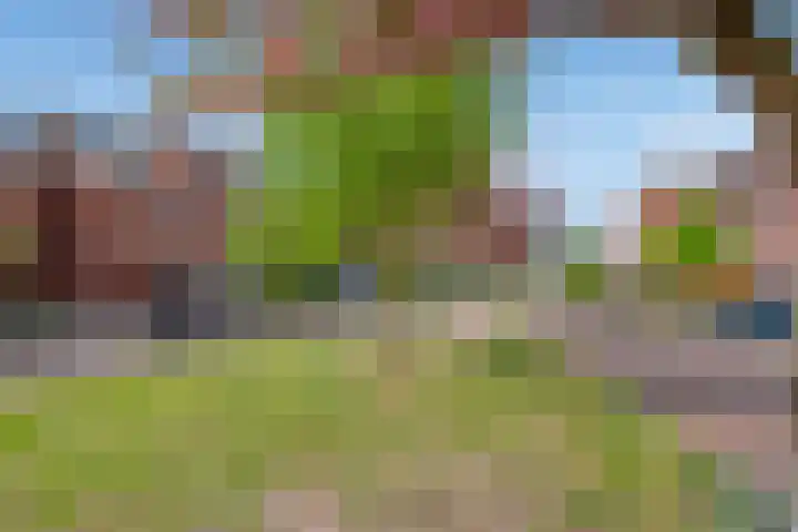 Druivenmuur 37 Delft thumbnail 5