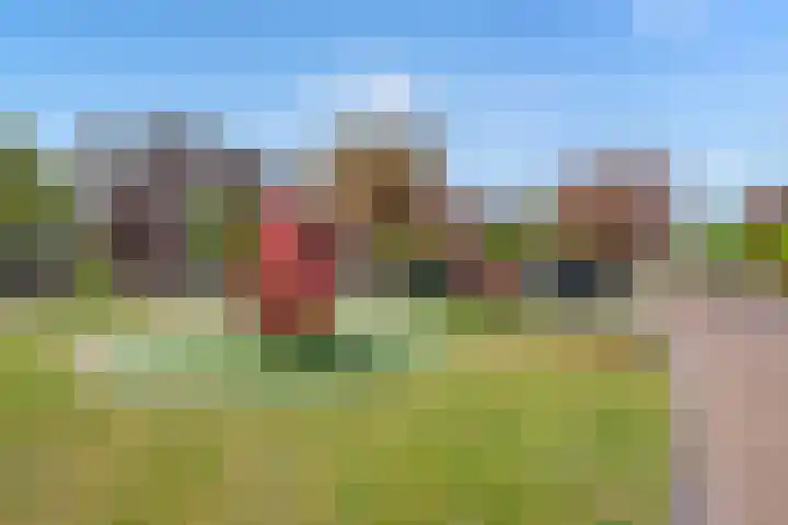 Druivenmuur 37 Delft thumbnail 6