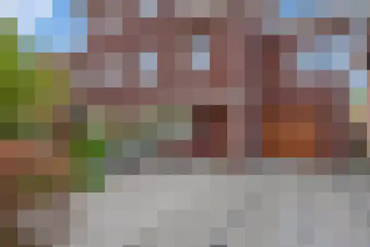 Druivenmuur 37 Delft thumbnail 7