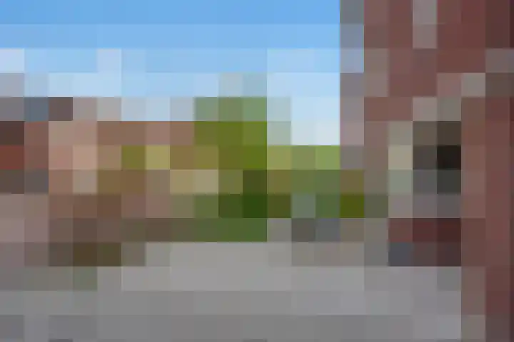 Druivenmuur 37 Delft thumbnail 8