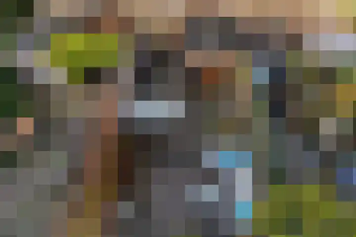 Druivenstraat 13 Den Haag thumbnail 39