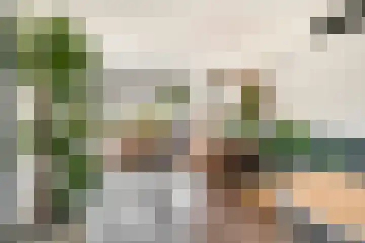 Druivenstraat 8 Naaldwijk thumbnail 10