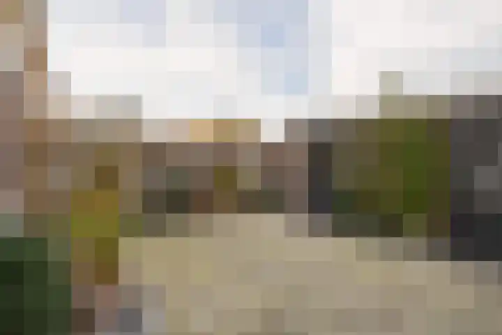 Druivenstraat 8 Naaldwijk thumbnail 18