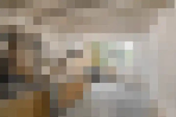 Druivenstraat 8 Naaldwijk thumbnail 20