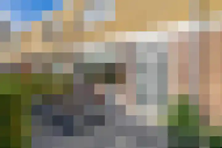 Druivenstraat 8 Naaldwijk thumbnail 7