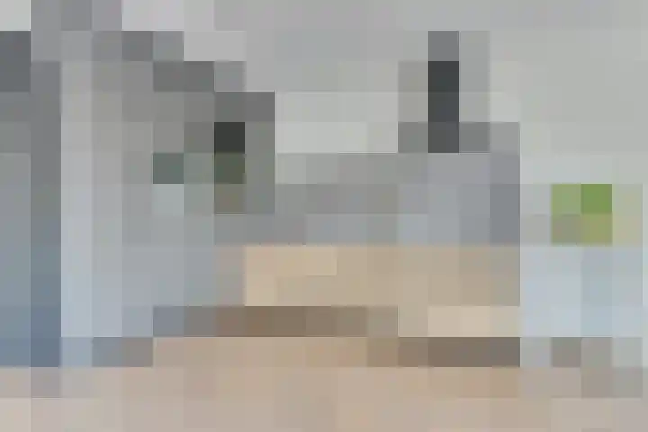 Drukkerij 17 Schagen thumbnail 16