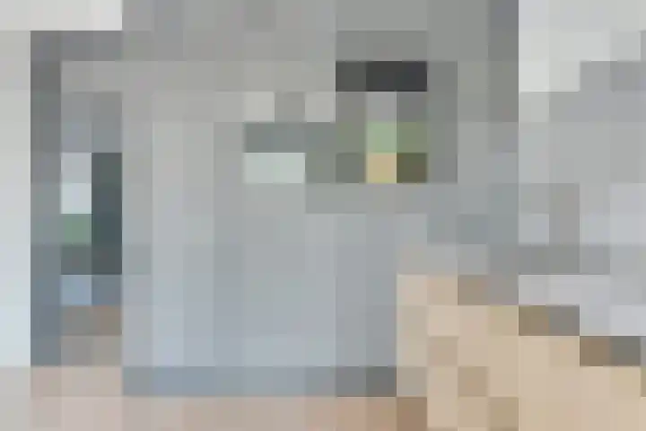 Drukkerij 17 Schagen thumbnail 18