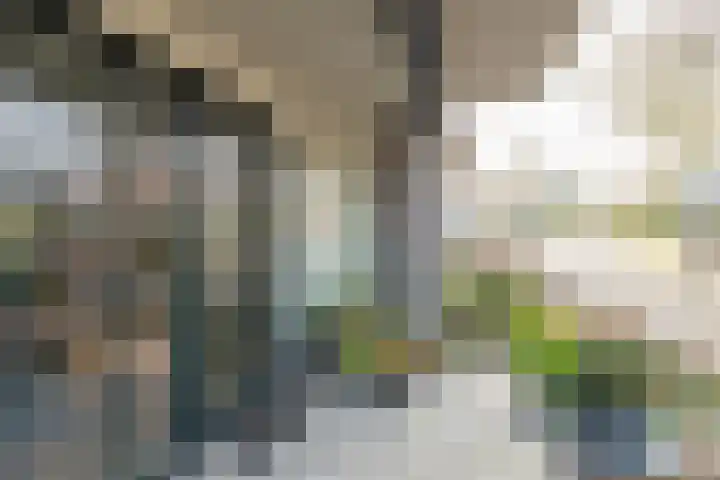 Drukkerij 17 Schagen thumbnail 31