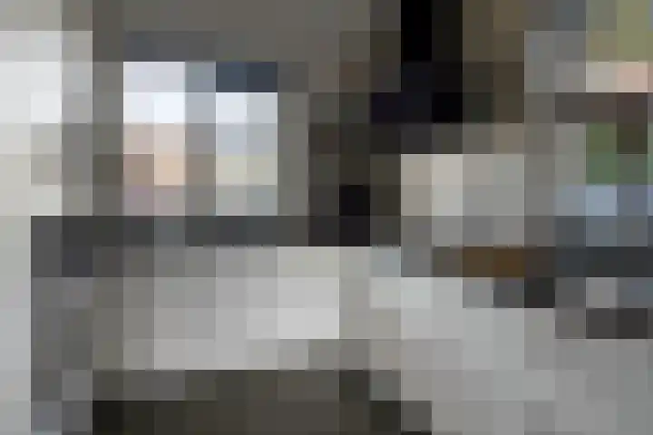 Drukpers 20 Meppel thumbnail 11