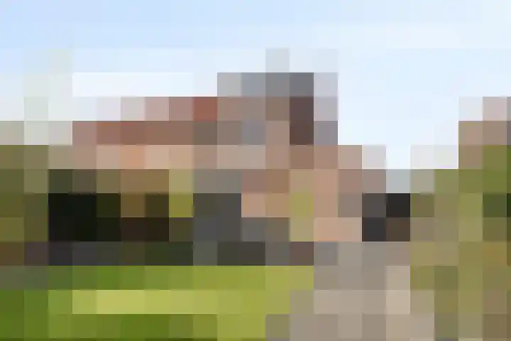 Drukpers 20 Meppel thumbnail 23