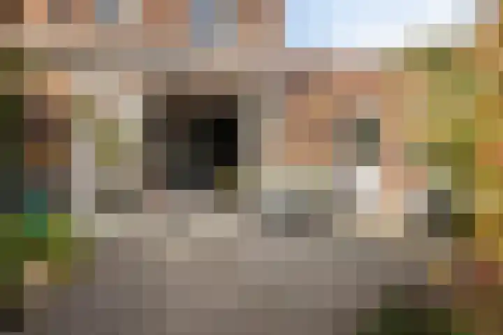 Drukpers 20 Meppel thumbnail 25