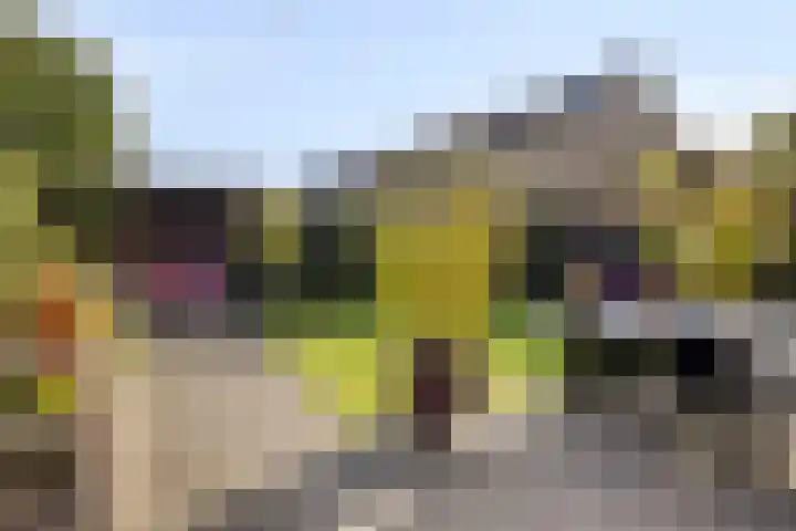 Drukpers 20 Meppel thumbnail 27