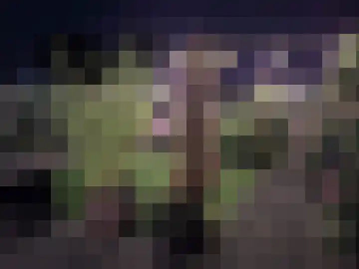 Drukpers 20 Meppel thumbnail 29