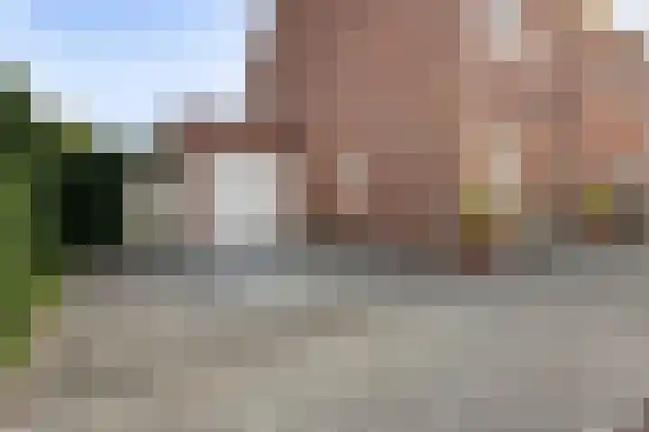 Drukpers 20 Meppel thumbnail 34