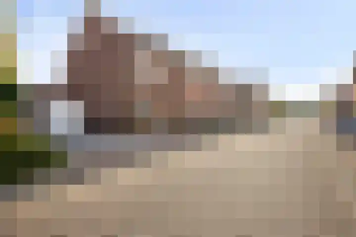 Drukpers 20 Meppel thumbnail 35