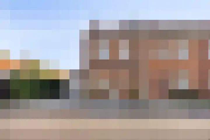 Drukpers 20 Meppel thumbnail 36