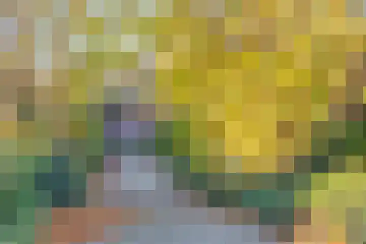 Drususlaan 3 De Meern thumbnail 11