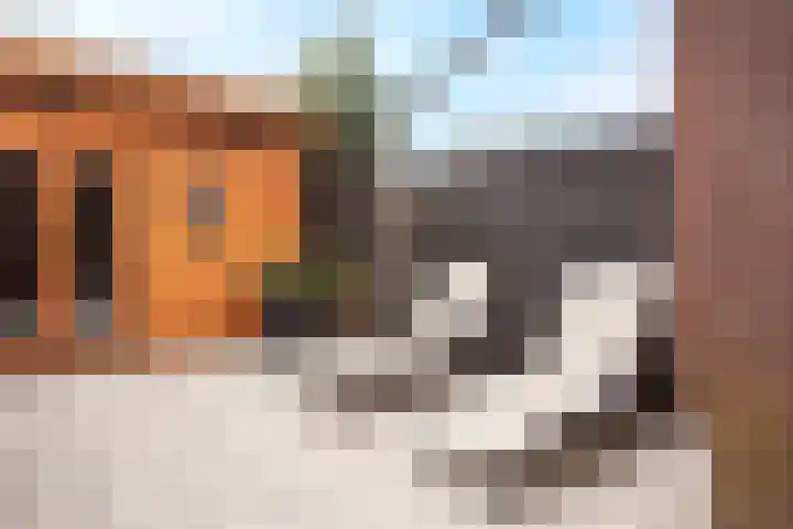 Drususlaan 3 De Meern thumbnail 12