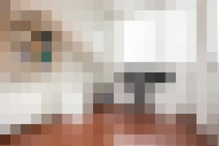 Drususlaan 3 De Meern thumbnail 36