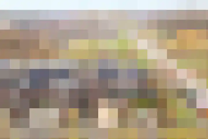 Drususlaan 3 De Meern thumbnail 44