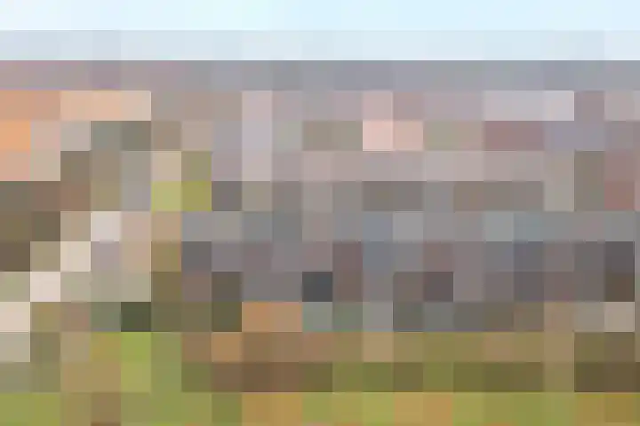Drususlaan 3 De Meern thumbnail 47